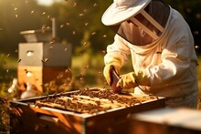 Beekeeper Is Working With Bees In Apiary
