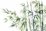 Fototapeta Sypialnia - Elegant watercolor green bamboo stalks on a white background, Leaves Watercolor, 