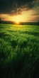 © Tymofii - Beautiful backlit green field at sunset