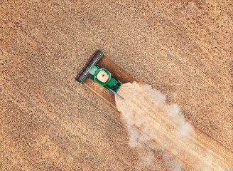 Harvester works in the field. Combine Harvesting Wheat, top view of a wheatfield. Field field of cereals during harvesting