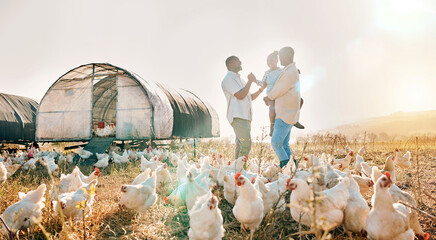 Wall Mural - Happy, gay couple and chicken with black family on farm for agriculture, environment and bonding. Relax, lgbtq and love with men and child farmer on countryside field for eggs, care and animals