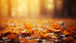 © ASHFAQ - orange fall leaves in park, autumn natural background