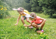 Little Cute Girls Collect Easter Eggs In The Grass. Children In A Bunny Costume With Pink Easter Bunny Ears. The Girls Look For And Find Easter Eggs In The Grass. Children Outdoors.

