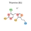 Chemical organic formula of thiamine vitamin B1 diagram schematic vector illustration. Medical science educational illustration