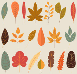 Wall Mural - set of autumn leaves in flat style vector