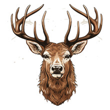 Vector Illustration Of A Realistic Reindeer Head On White Background Facing Forward