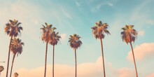 Palm Trees At Santa Monica Beach. Vintage Post Processed. Fashion, Travel, Summer, Vacation And Tropical Beach Concept.