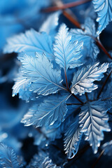 Poster - A minimalist composition of frost patterns on a simple surface, highlighting the elegance of nature's designs.  Generative AI technology.