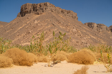 Poster - view in the Sahara desert of Tadrart rouge tassili najer in Djanet City  ,Algeria.colorful orange sand, rocky mountains