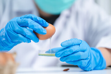 Wall Mural - Scientist testing gmo egg for quality control of eggs in chemical laboratory, Food science expert inspecting a dairy product, Agriculture farm production industry, biotechnology medicine research