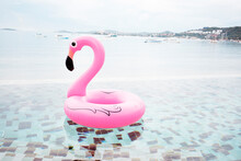 Pink Flamingo Pool Toy In Swimming Pool