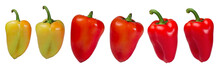 Yellow And Red Peppers
