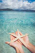 Man's Hands Holding Starfish By Sea
