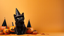 Halloween Cat With Pumpkin