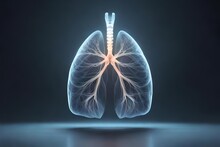 Human Anatomy And Smoky Lungs
