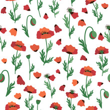 Summer Seamless Pattern With Bright Red Poppy Flowers And Poppy Pods. Field, Meadow Of Poppies