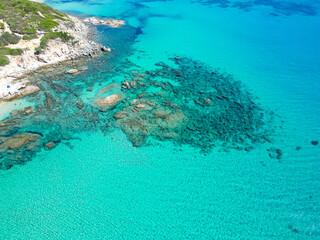 Wall Mural - coral reef and sea