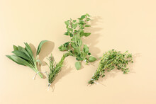 Top View Various Herbs On Cream Background