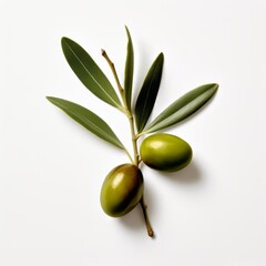 an olive branch with two olives and few leaves