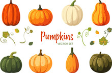 Vector Set Of Various Colorful Pumpkins Cartoon Style Isolated On White Background