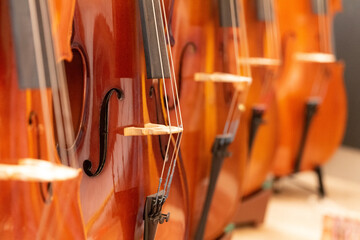 Wall Mural - Detail of a string musical instrument