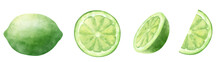 Watercolor Lime 