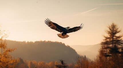 Exploring the Skies: A Generative AI Perspective on Canada's Majestic Bald Eagle during the Golden Hour