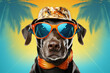 Ai-generated illustration of a labrador dog wearing sunglasses and a funny hat at the beach.