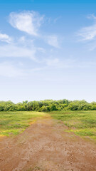 Wall Mural - The ground on the field