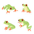 Cute tree frogs set. Vector illustration of tropical watercolor frog isolated on white