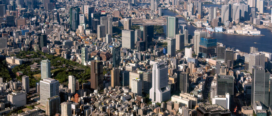 Wall Mural - Aerial view of Tokyo central area at daytime.