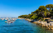 Ile Saint Honorat island panorama with forest coast and yachts on Mediterranean Sea waters offshore Cannes at French Riviera in France