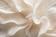 © yuliachupina - Close up of white colored Oyster mushroom. AI generated
