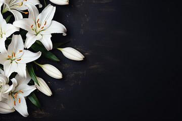 Poster - White lily flowers on dark background with space for text