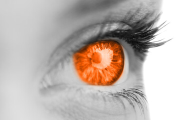 Poster - Digital png illustration of eye with orange retina on transparent background