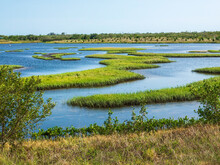 Coastal Lagoon, Once Farmland, With Grassy Islets At Low Tide In A County Nature Preserve In Southwest Florida. For Motifs Of Restoration And Wildlife Habitat, Recreation, Environmental Protection.