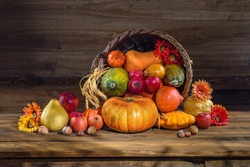 Wall Mural - Thanksgiving day still life, background with empty copy space. Pumpkin harvest in wicker basket. Squash, vegetable autumn fruit, apples, and nuts on a wooden table. Halloween decoration fall design