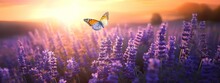 Beautiful Natural Pastel Background. Butterfly And Flower Against On A Background Of Sunrise