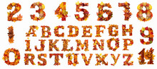 Autumn Leaves Alphabet Letters And Numbers Set On Transparent Background