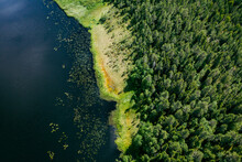 Drone Angle View Of Forest And Shore Of A Lake During Summer In Finland