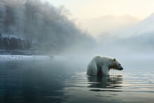 Frosty Morning With A Polar Bear Taking A Plunge In Icy Lake