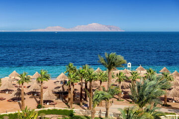 Wall Mural - Aerial view of beautiful  tropical beach resort with palm trees and umbrellas in Sharm el Sheikh, Sinai, Egypt, Africa.	