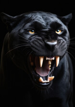 Photograph Of A Wild Panther On A Dark Background Conceptual For Frame