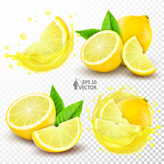 Wall Mural - Vector set of ripe lemons, whole fruit and pieces with leaves. Realistic transparent splash of fresh natural juice. 3d isolated food illustration, package design element