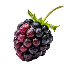 Wall Mural - Natural and fresh Blackberry isolated on transparent background