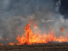Burning Fields Of Veld / Grassland