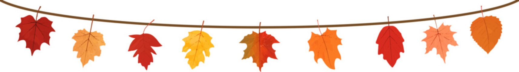 aautumn leaves hanging on a string.garland with a leaves.autumn leaf border.autumn leaves border fra