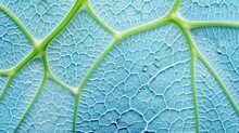 Texture Of A Green Leaf Close-up. Beautiful Nature Backdrop. Illustration For Brochure, Poster, Cover, Presentation Or Banner.