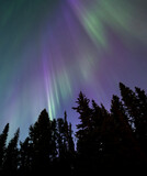 Fototapeta Tęcza - Northern lights overhead. Aurora Borealis