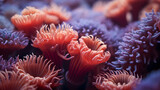 Fototapeta Do akwarium - wunderschönes Korallenriff